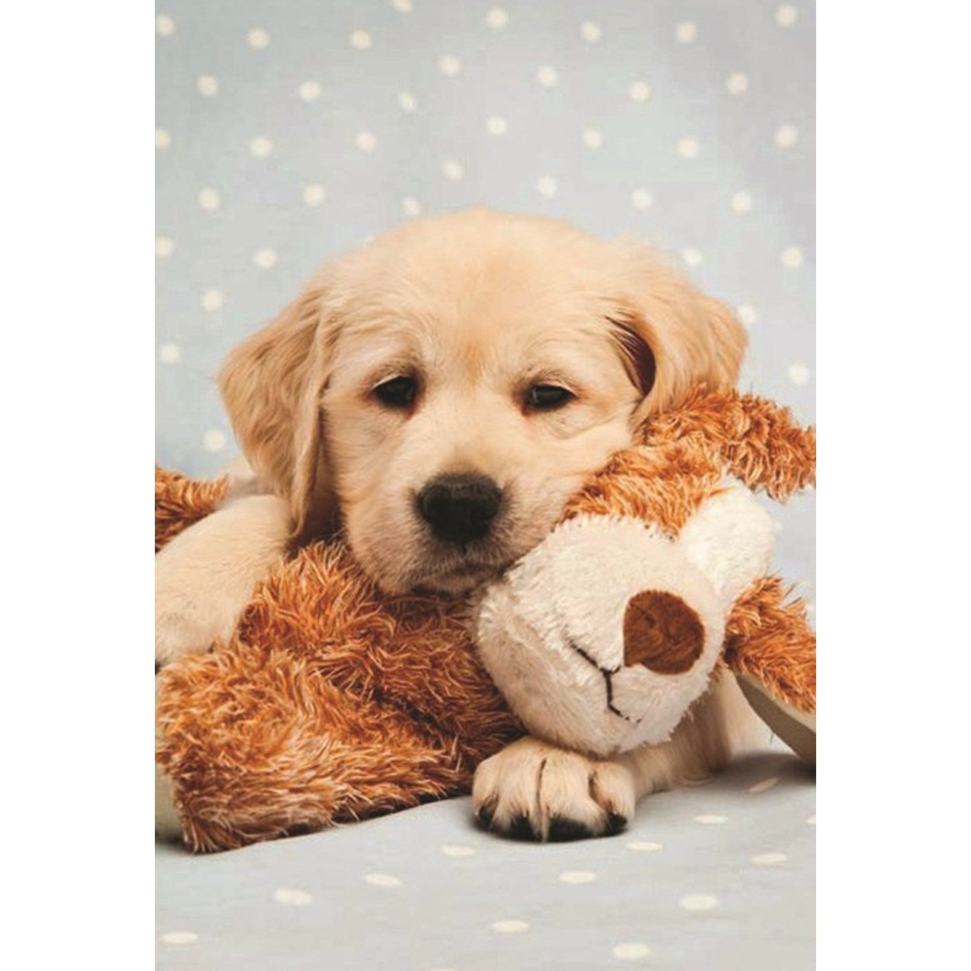  Retriever and Teddy Greeting Card, Bella Flor, Putti Fine Furnishings