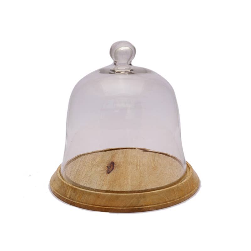 Glass Cheese Dome on Wooden Base - Small | Putti Fine Furnishings Canada 