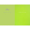 "Happy Belated Birthday ...I Missed it by a Hare" Turtle Greeting Card, Bella Flor, Putti Fine Furnishings