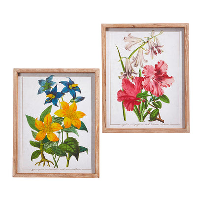 Floral Conservatory Framed Print - Yellow
