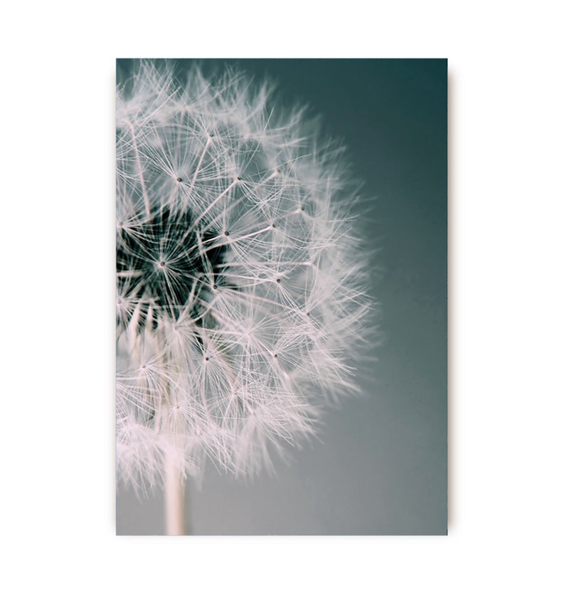  Dandilion Dreams Greeting Card, Paper E Clips, Putti Fine Furnishings