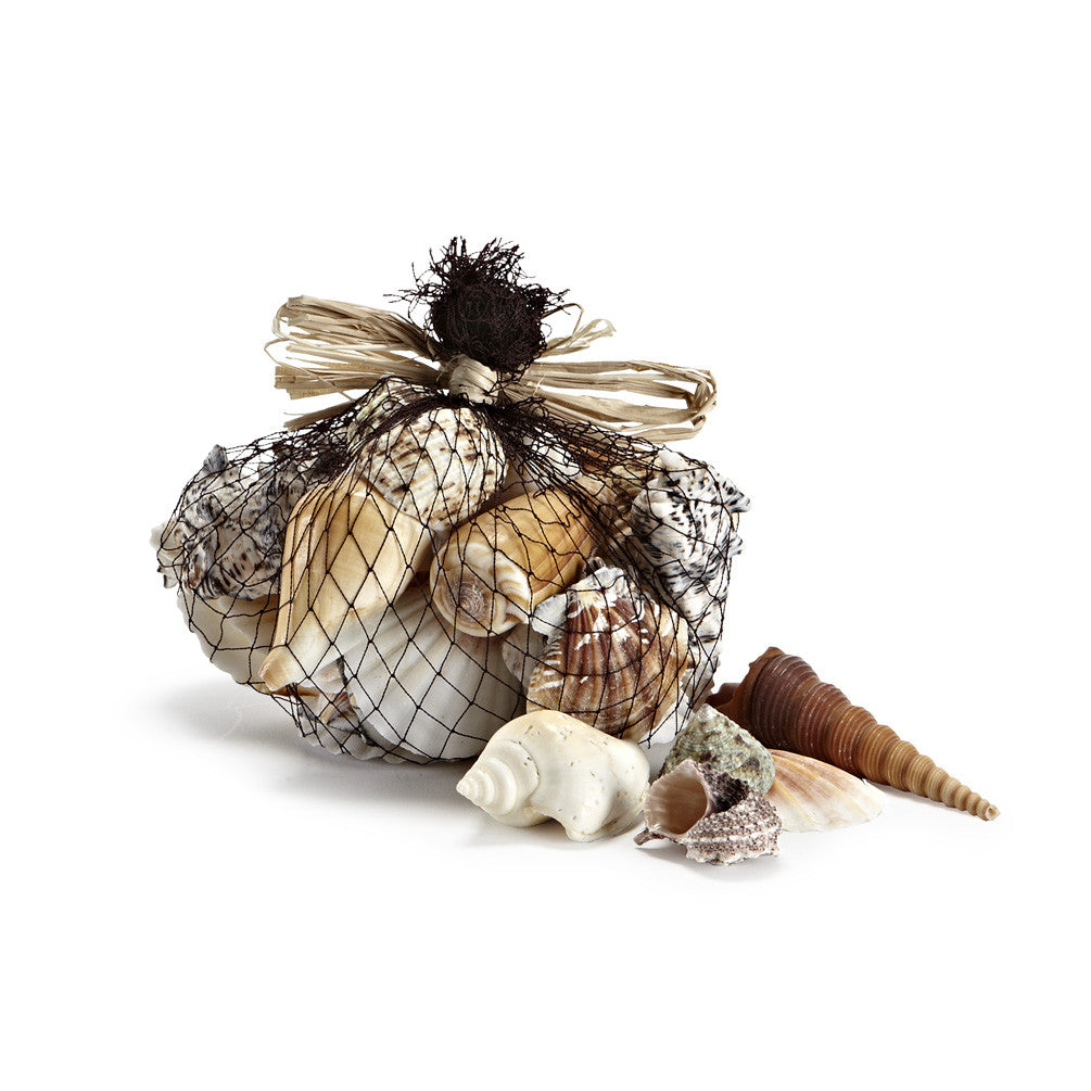  Bag of Mixed Sea Shells, AC-Abbott Collection, Putti Fine Furnishings