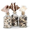 Small Bottle With Shell Stopper