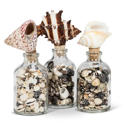 Small Bottle With Shell Stopper