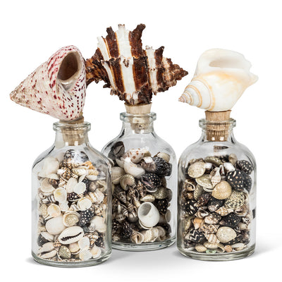 Small Bottle With Shell Stopper - Putti Fine Furnishings Canada