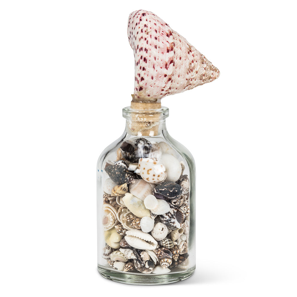 Small Bottle With Shell Stopper - Putti Fine Furnishings Canada 