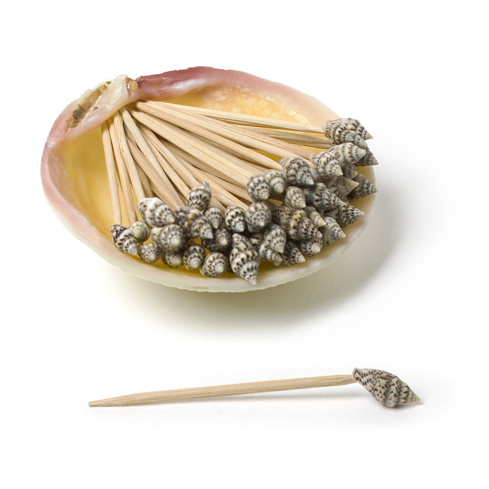  Shell Cocktail Picks - Natural, AC-Abbot Collection, Putti Fine Furnishings
