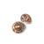 Landsnail Shell-Decorative Accessories-AC-Abbott Collection-Putti Fine Furnishings