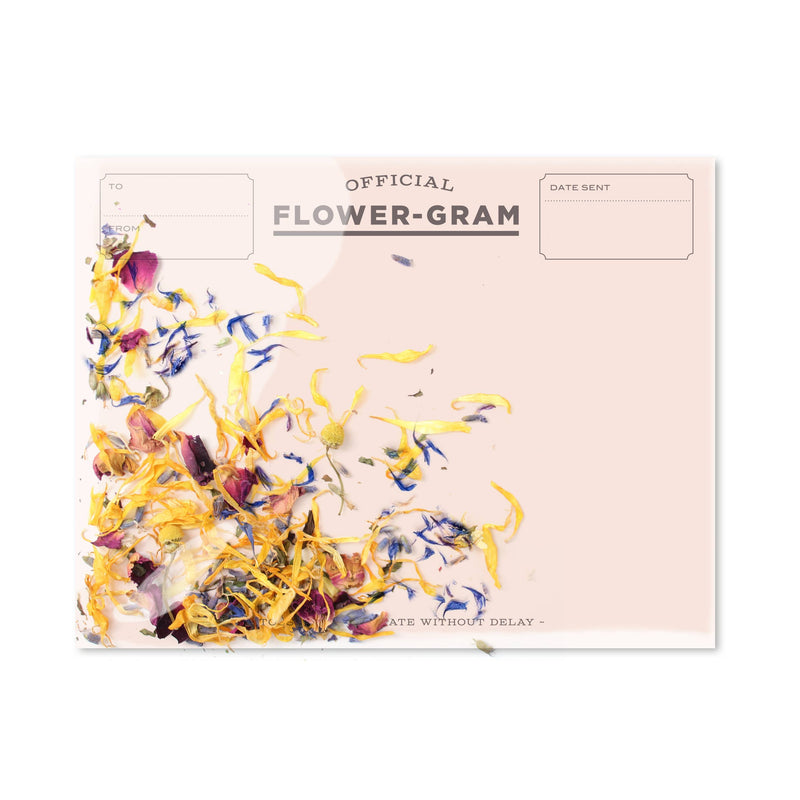 Inklings Paperie - Flowergram - Wildflowers + Mint