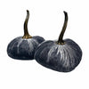 Small Velvet Pumpkin - Luxe Platinum