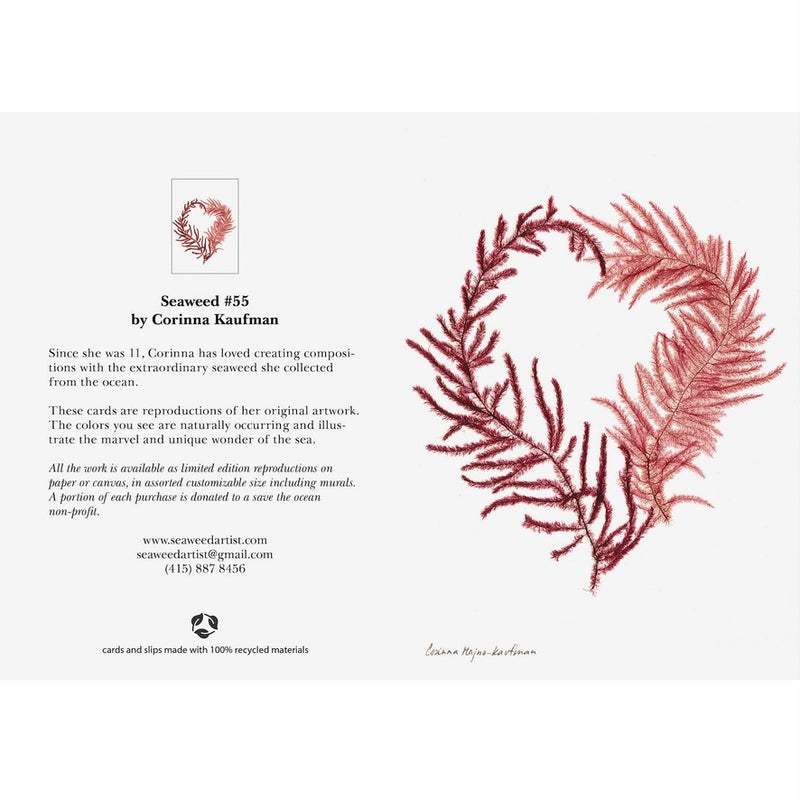 Seaweed Artist - Heart Seaweed Art Greeting Cards Design #55 | Putti Fine Furnishings 