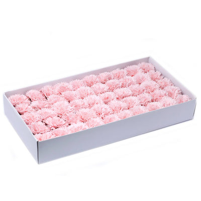 Pink Soap Petal Carnation