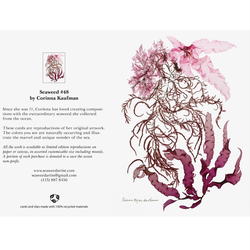 Seaweed Artist - Seaweed Art Greeting Cards Design #48
