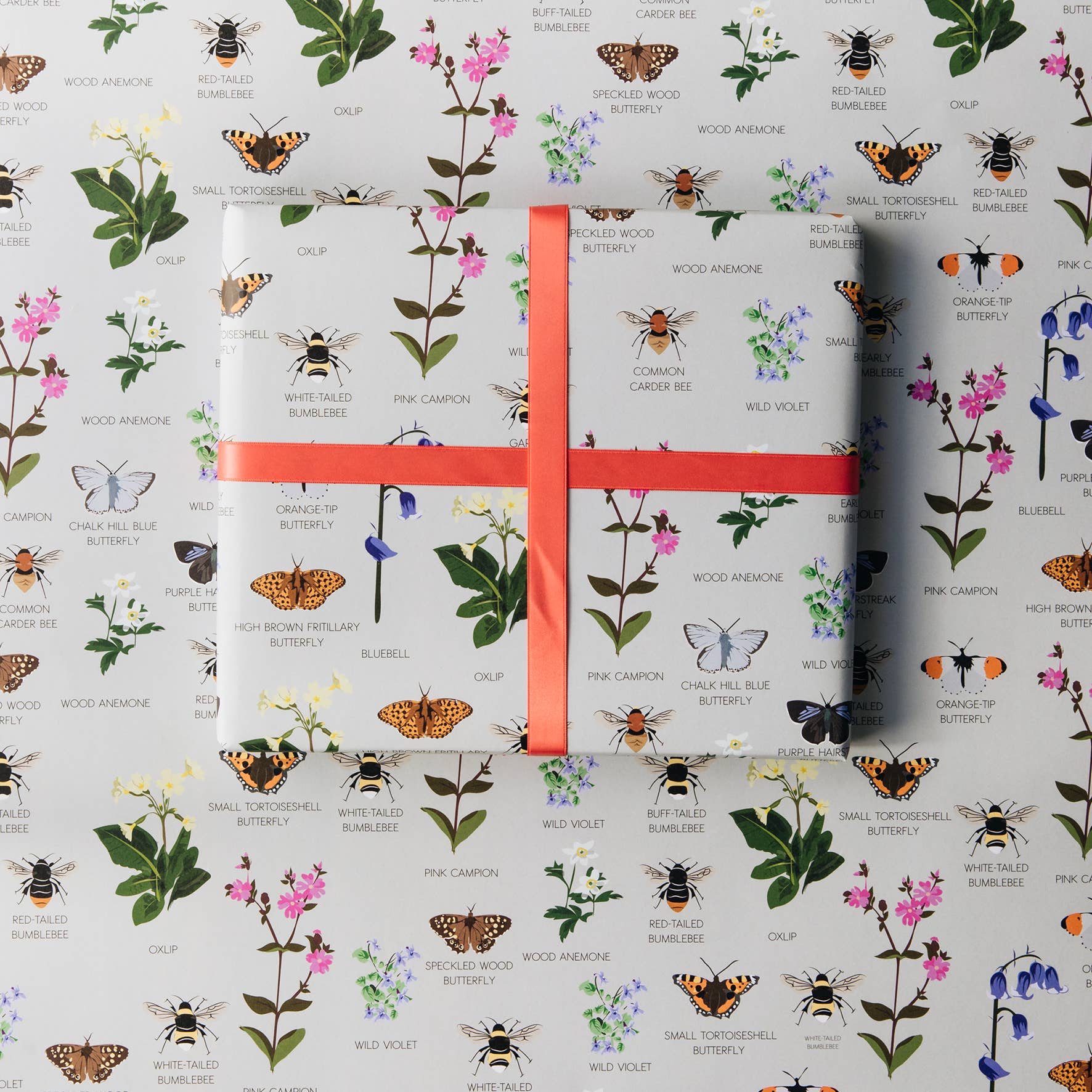 Lorna Syson - Oxfordshire Wildlife Wrapping Paper