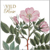Wild Roses Note Cards
