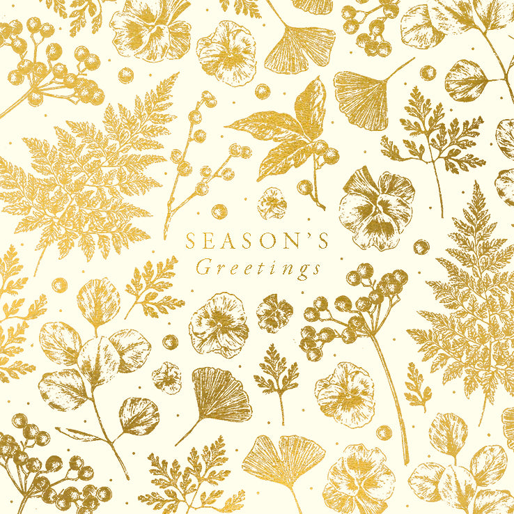 “Seasons Greetings” Cello Pack Christmas Cards | Putti Christmas Canada 