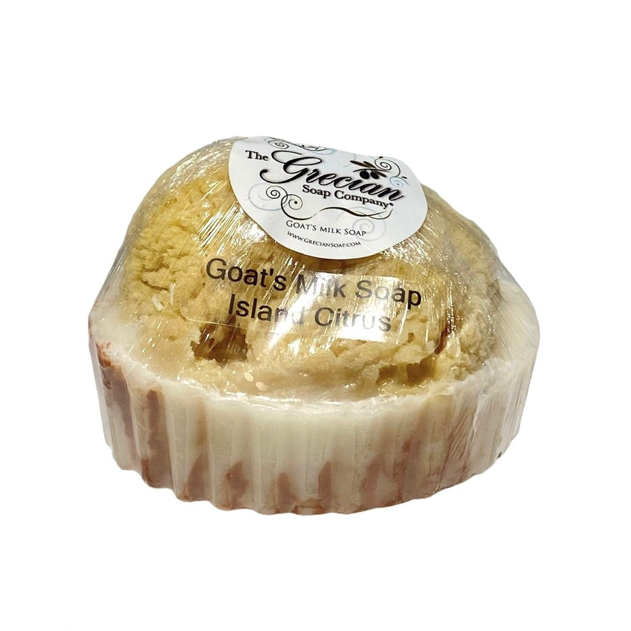 Clam Shell Soap with Natural Sea Sponge - Island Citrus