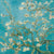 Almond Blossom Paper Napkin - Lunch