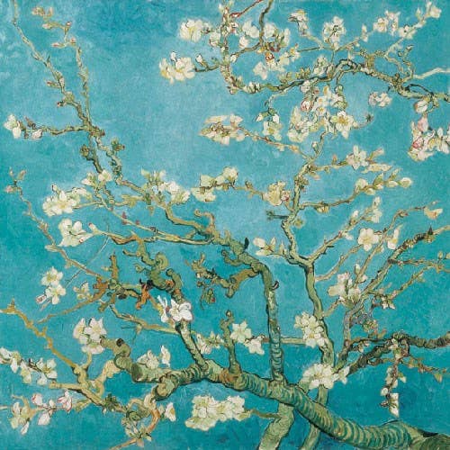Almond Blossom Paper Napkin - Lunch