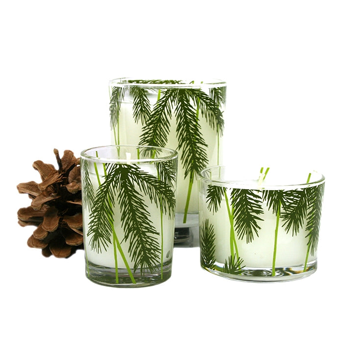 Thymes Frasier Fir Pine Candle Set -  Home Fragrance - Thymes - Putti Fine Furnishings Toronto Canada