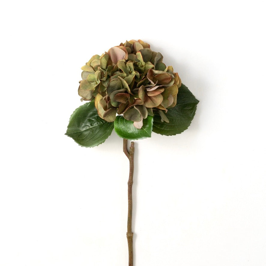 Autumn Green Hydrangea Stem