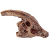 Rawr Dinosaur Skull Fossil Dig-A-Saurs Kit | Le Petite Putti