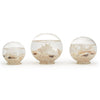 Sealife Filled Globes