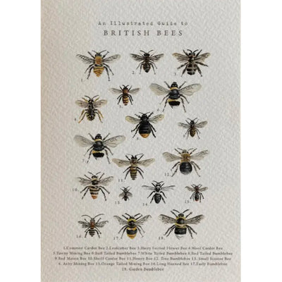 British Bees Greeting Card
