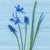 Blue Flowers Paper Napkins - Lunch | Putti Fine Furnishings 