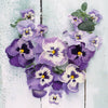 Pansy Heart Paper Napkin - Lunch