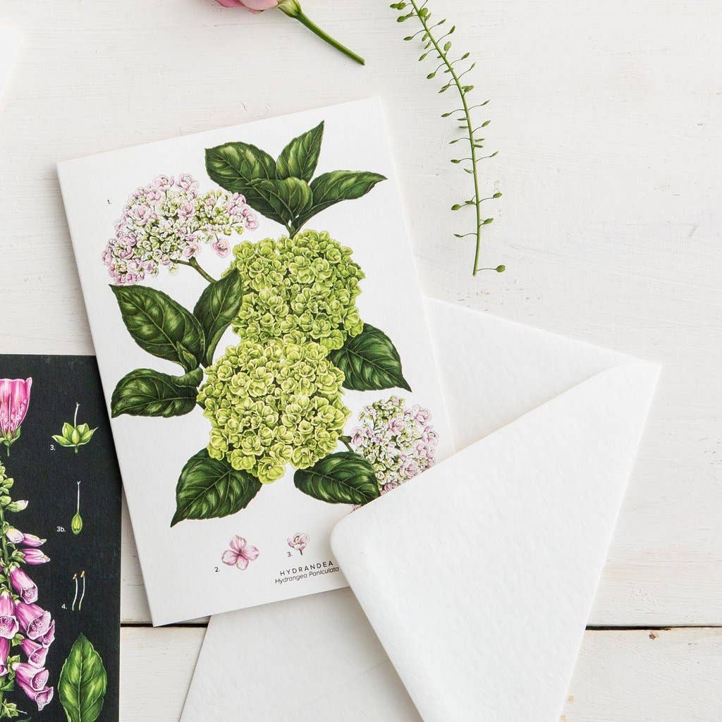 Hydrangea Greeting Card