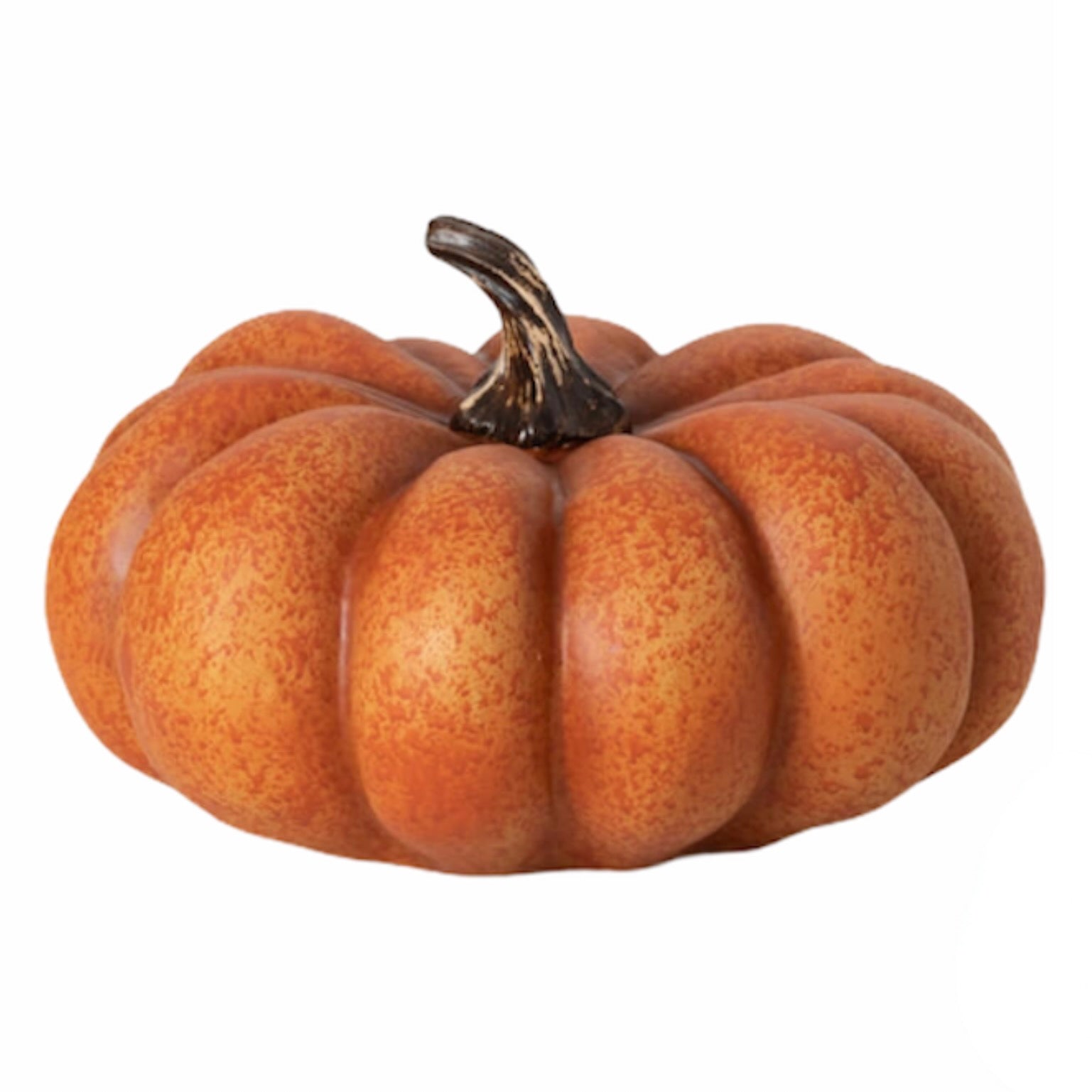 Large Squat Orange Pumpkin
