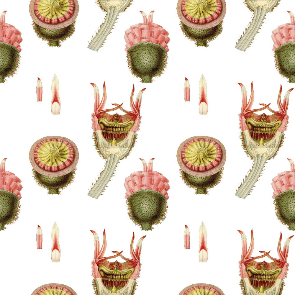 Water Lilies Gift Wrap Roll