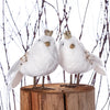 White Bird with Crown