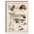 The Pattern Book Uk Fungi Greeting Card | Putti 