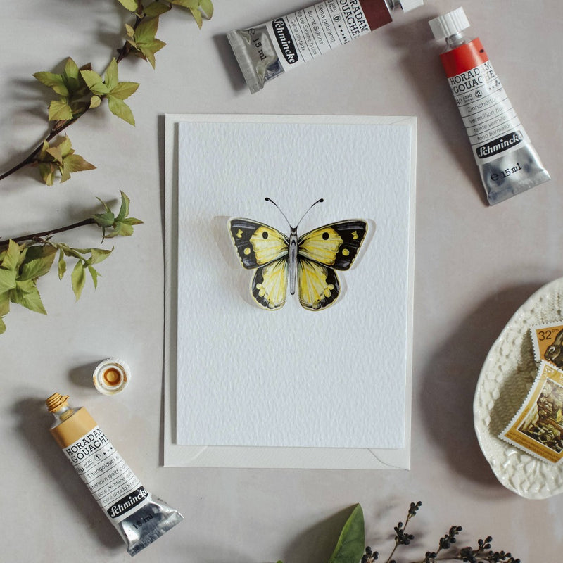 Clouded Yellow Butterfly 3D Greeting Card