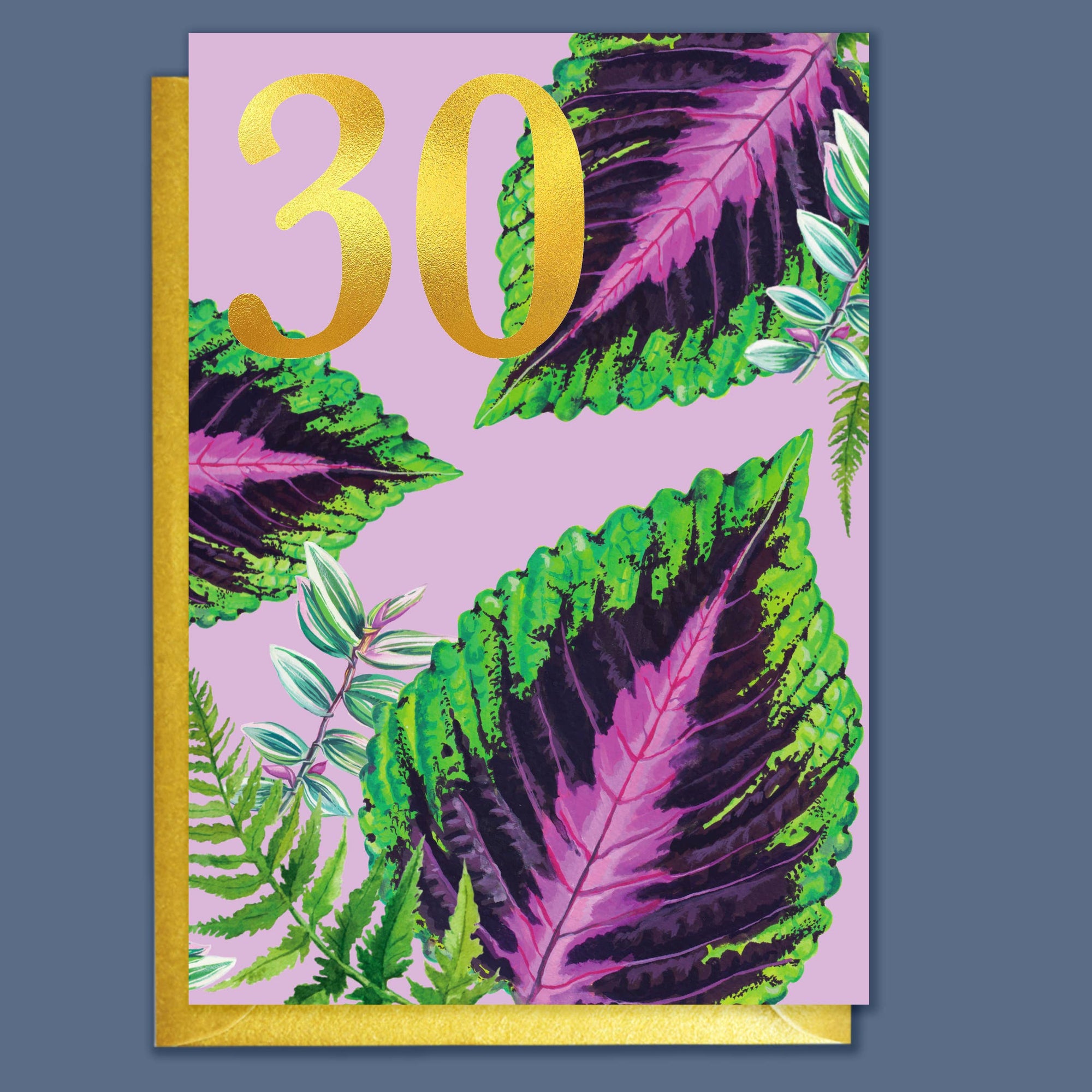 30th Birthday Houseplants Card