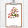 Pink Dogwood Botanical Print