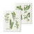 Herbs Swedish Dish Cloths - Set of 2  | Putti Fine Furnishings 