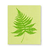 Fern Dish Cloths - Set of 2