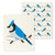 Blue Jay Swedish Dish Cloth - set of 2