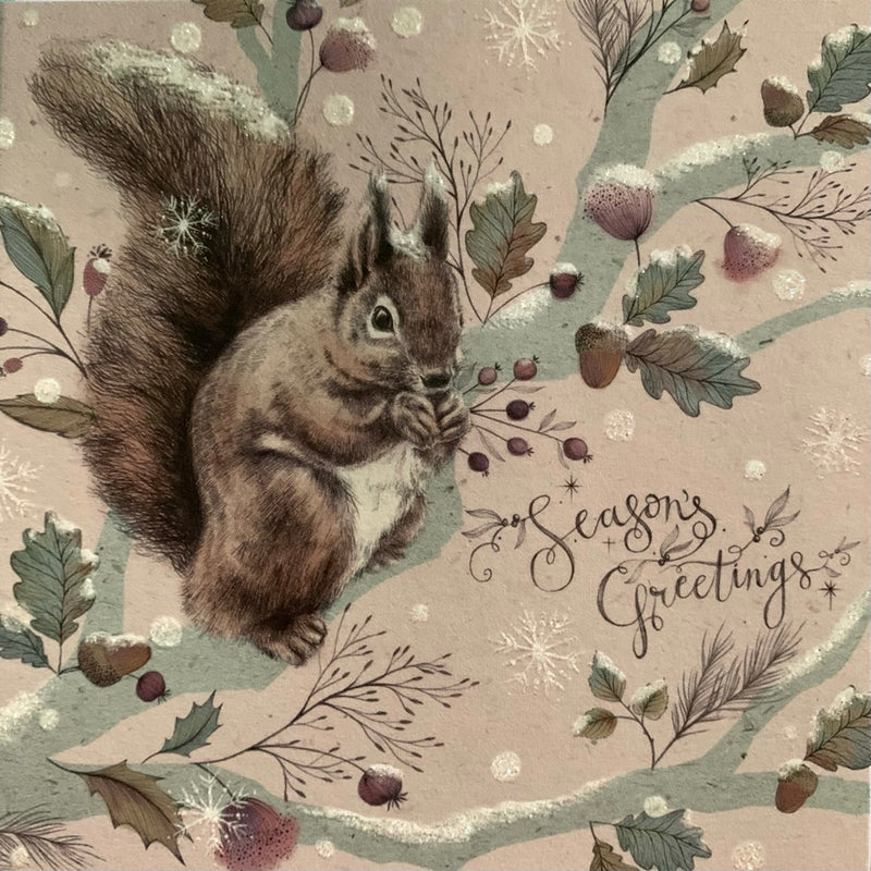 Squirell with Acorns "Season's Greetings" Greeting Card | Putti Christmas 