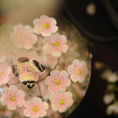 CoolSnowGlobes | Butterfly on Branch Cool Snow Globe | Putti Celebrations