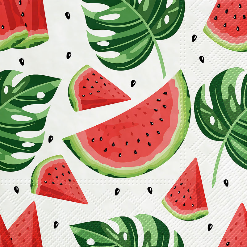 Tasty Watermelons Paper Napkins Lunch | Putti Party Supplies Canada