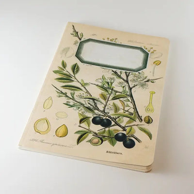 Botanical Notebook - Blackthorn