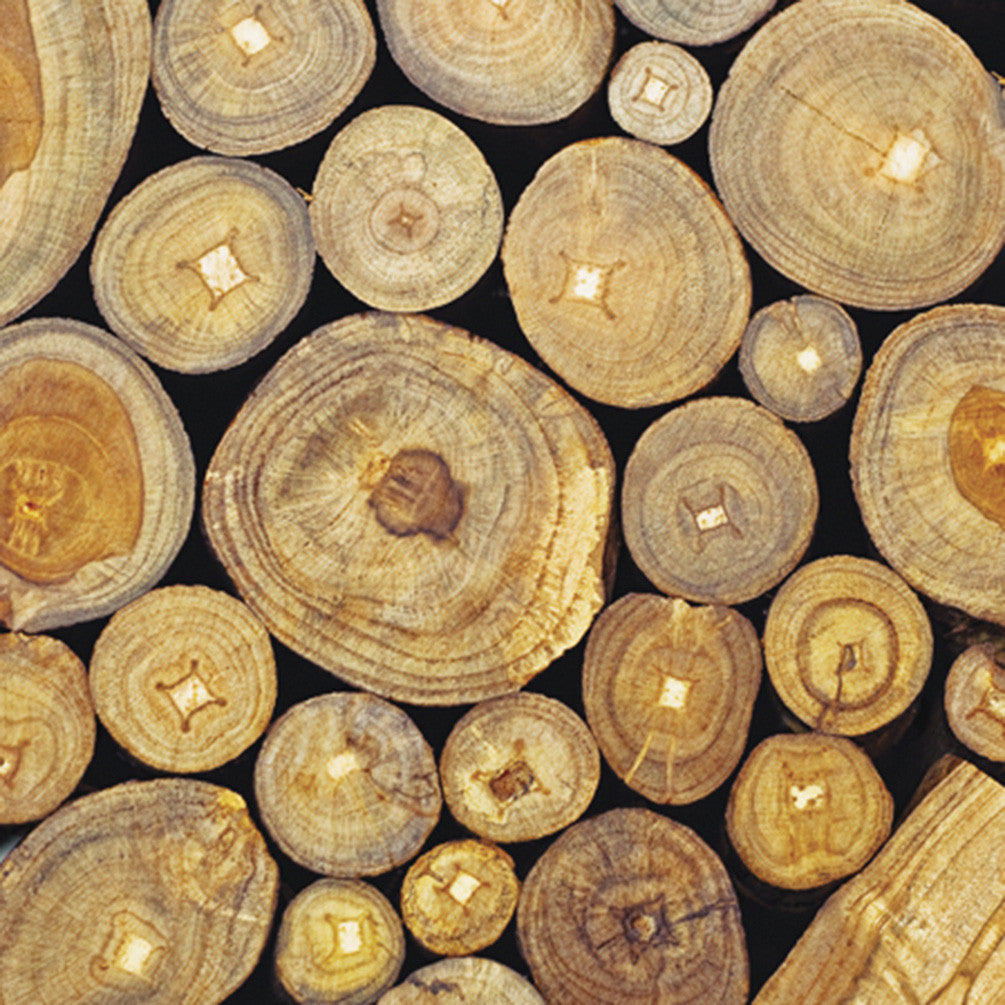  "Wood Logs" Paper Napkin - Lunch, AC-Abbott Collection, Putti Fine Furnishings