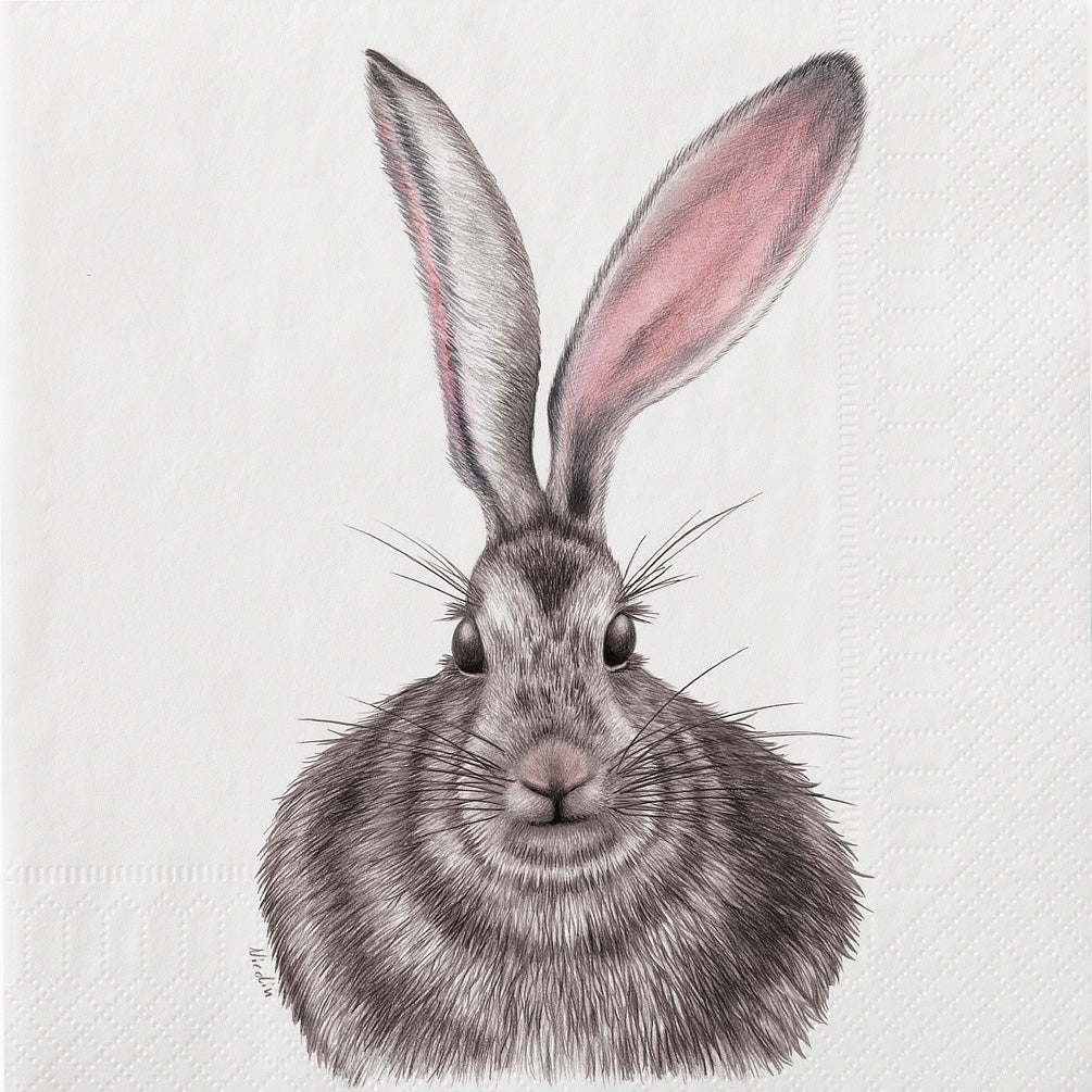 "Henrietta Hare" Paper Napkins - Lunch | Putti Celebrations Canada