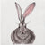 "Henrietta Hare" Paper Napkins - Lunch | Putti Celebrations Canada