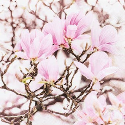 Pink Magnolia Paper Napkin - Beverage | Putti Fine Fashions 