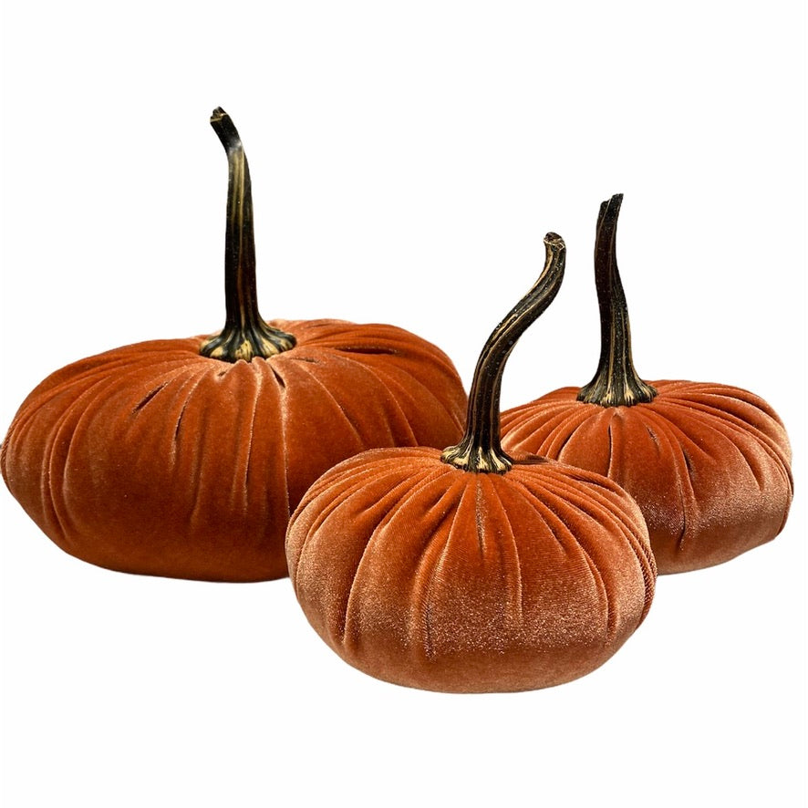 Extra Large Velvet Pumpkin - Harvest | Putti Fine Furnishings Canada
